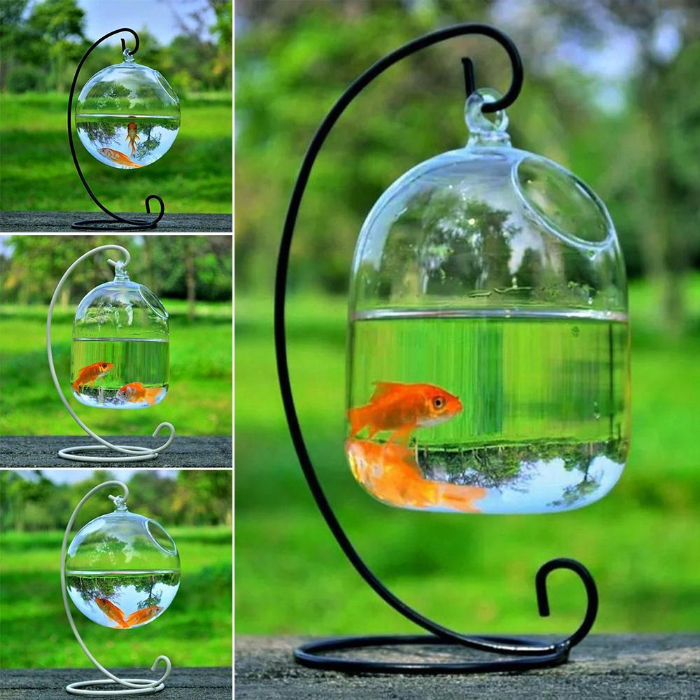 Aquarium Fish Names - Aquarium Decoration Wall Hanging With Rack