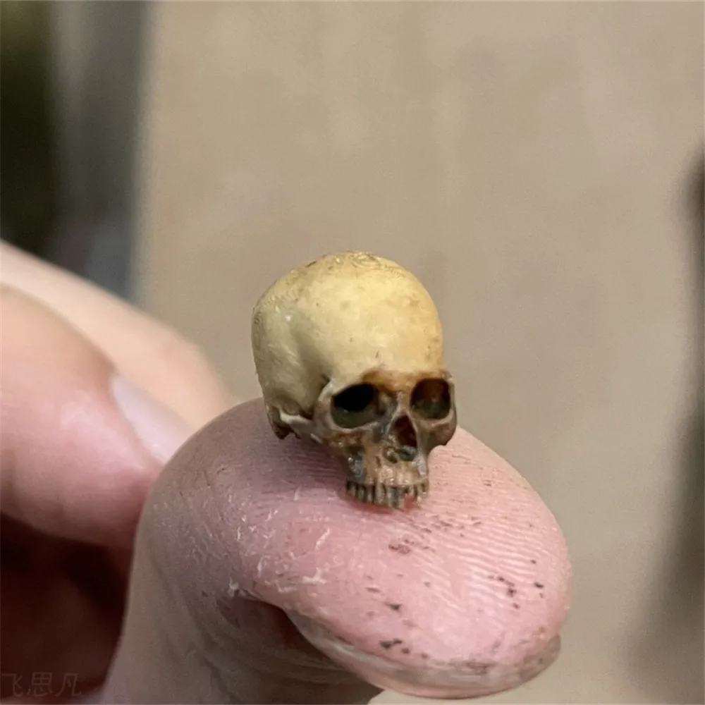 Aquarium Fish Names - Mini Skull High Quality Miniature Model