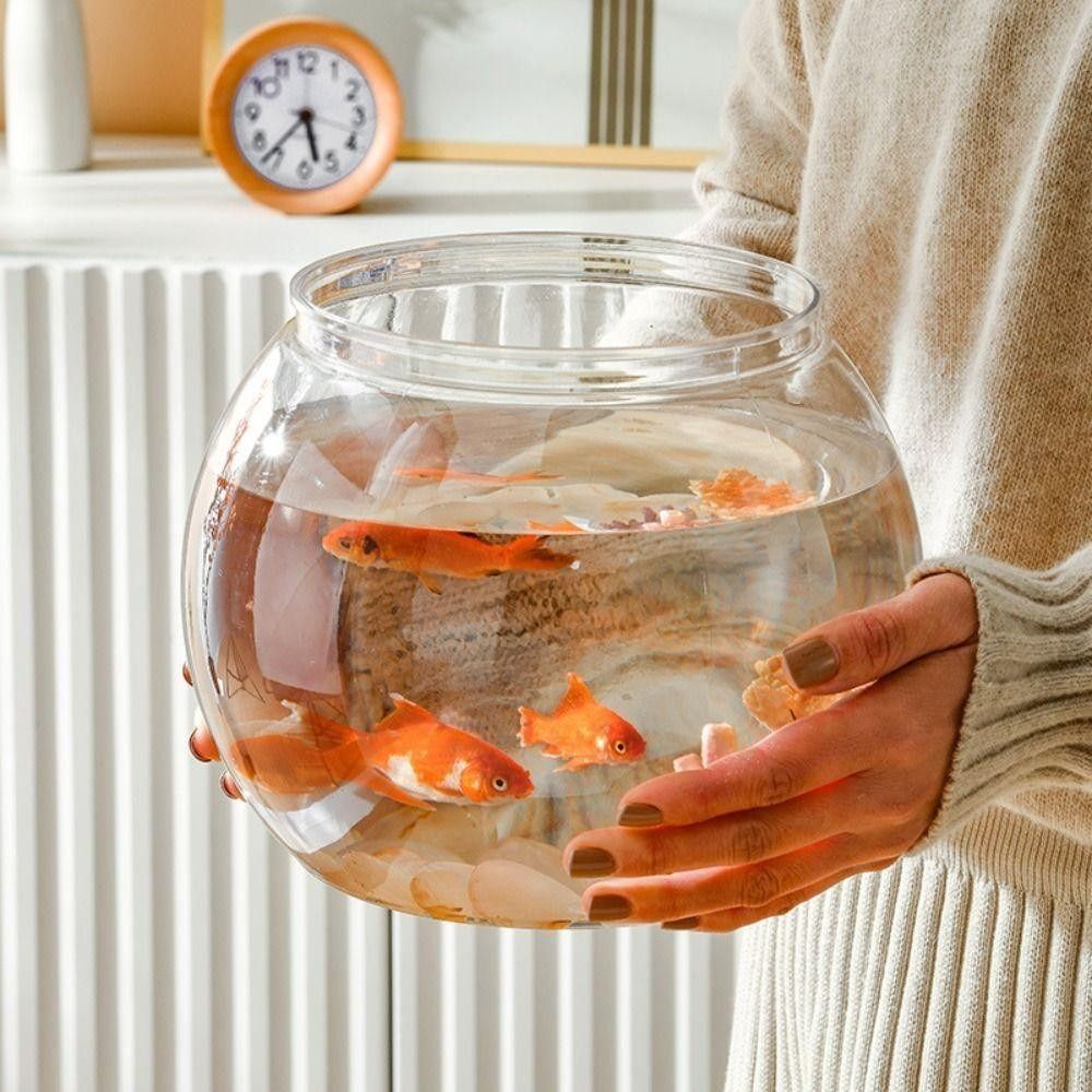 Aquarium Fish Names - New Transparent Fish Tank Round Unbreakable