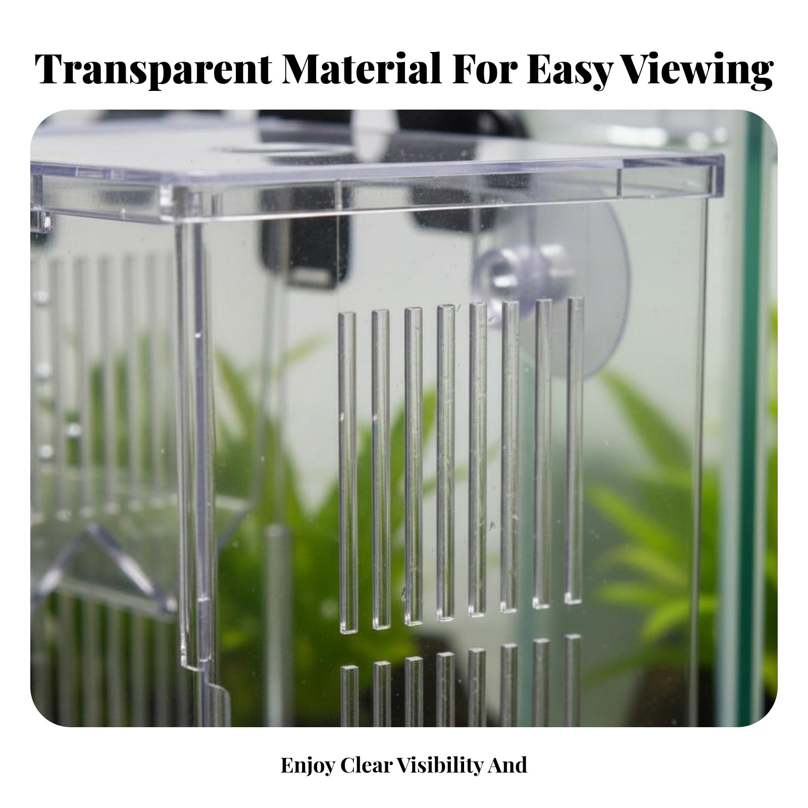 Aquatic Habitat Hatchery Box P - Aquarium Fish Tank 评论和价格