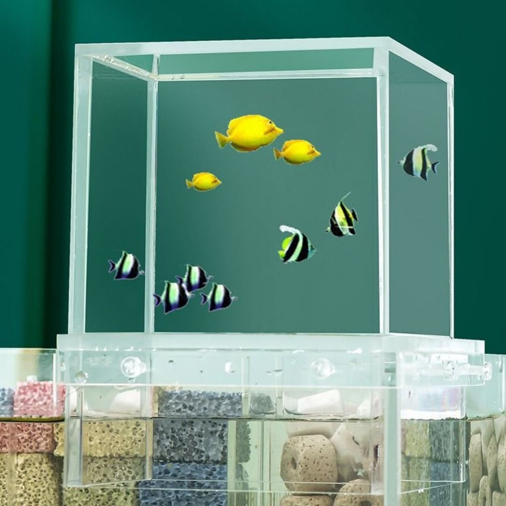 Landscaping Negative Pressure  - Aquarium Fish Medicine 评论和价格