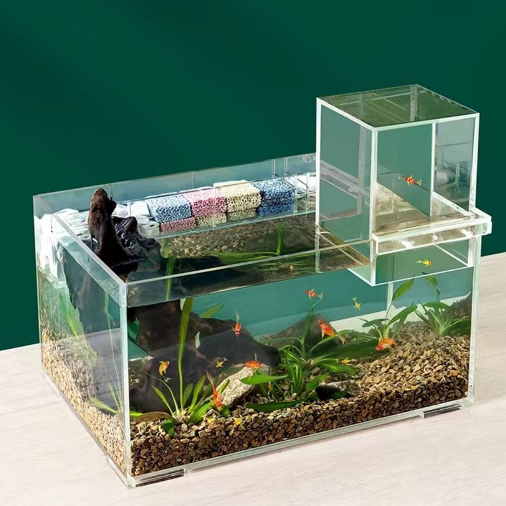 Landscaping Negative Pressure  - Aquarium Fish Medicine 评论和价格