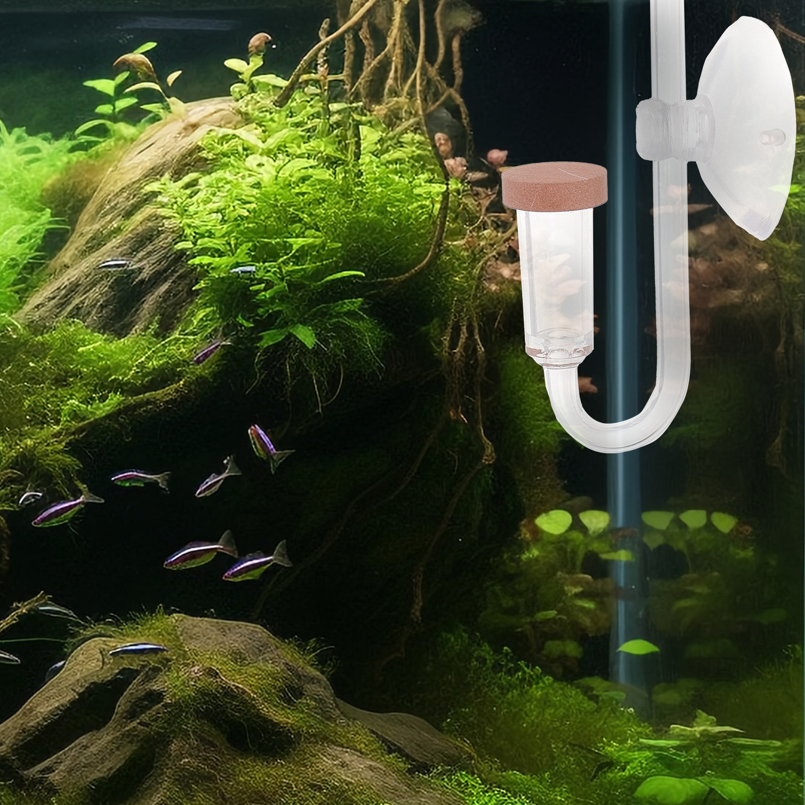 Fish Tank Co2 Refiner Transpar - Aquarium Fish Rate 评论和价格