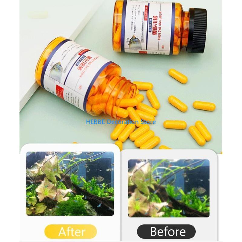 B0KC Nitrifying Capsules Estab - Aquarium Fish Medicine 评论和价格