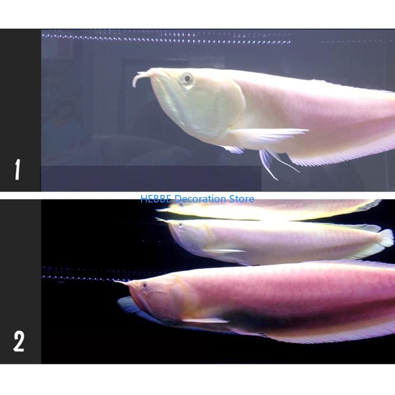 B0KC Nitrifying Capsules Estab - Aquarium Fish Medicine 评论和价格