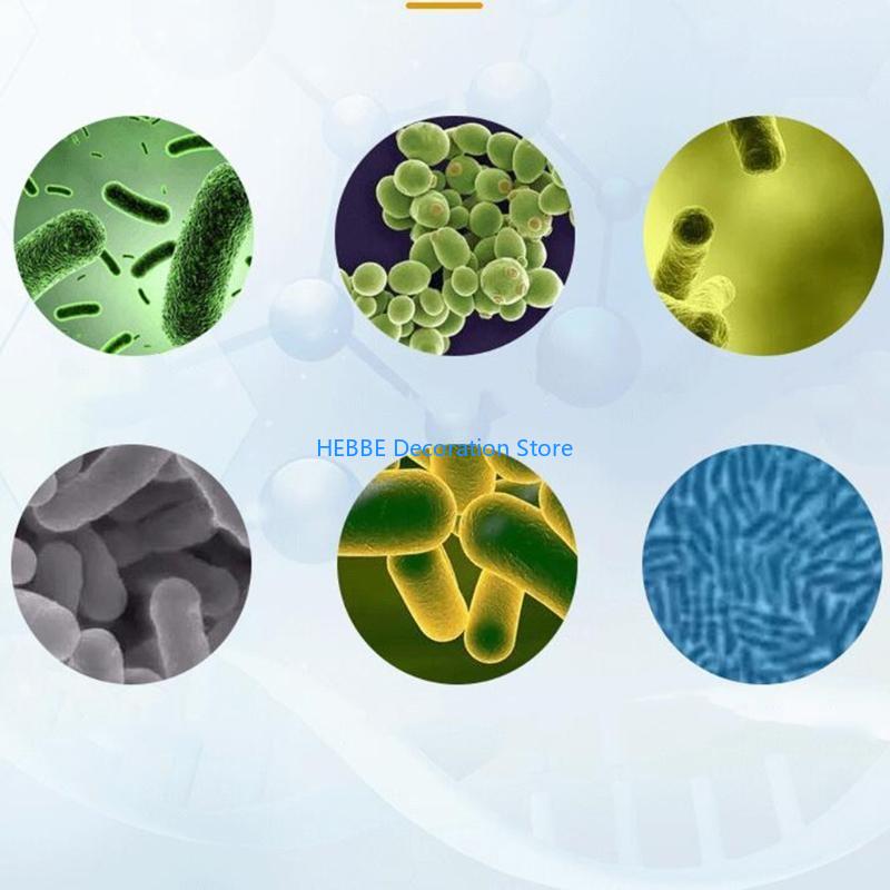 B0KC Nitrifying Capsules Estab - Aquarium Fish Medicine 评论和价格