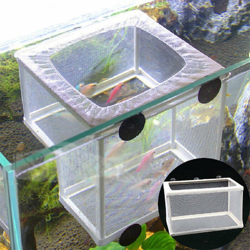 Aquarium Fish Breeder Box with - Aquarium Fish Medicine 评论和价格