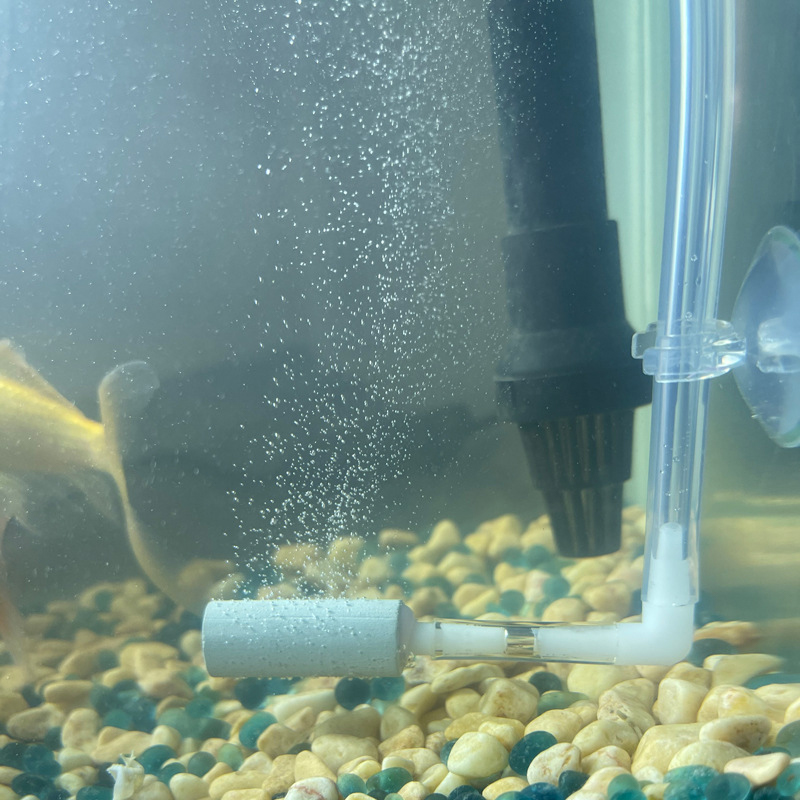 CO2 System Regulator Excellent - Aquarium Fish Rate 评论和价格