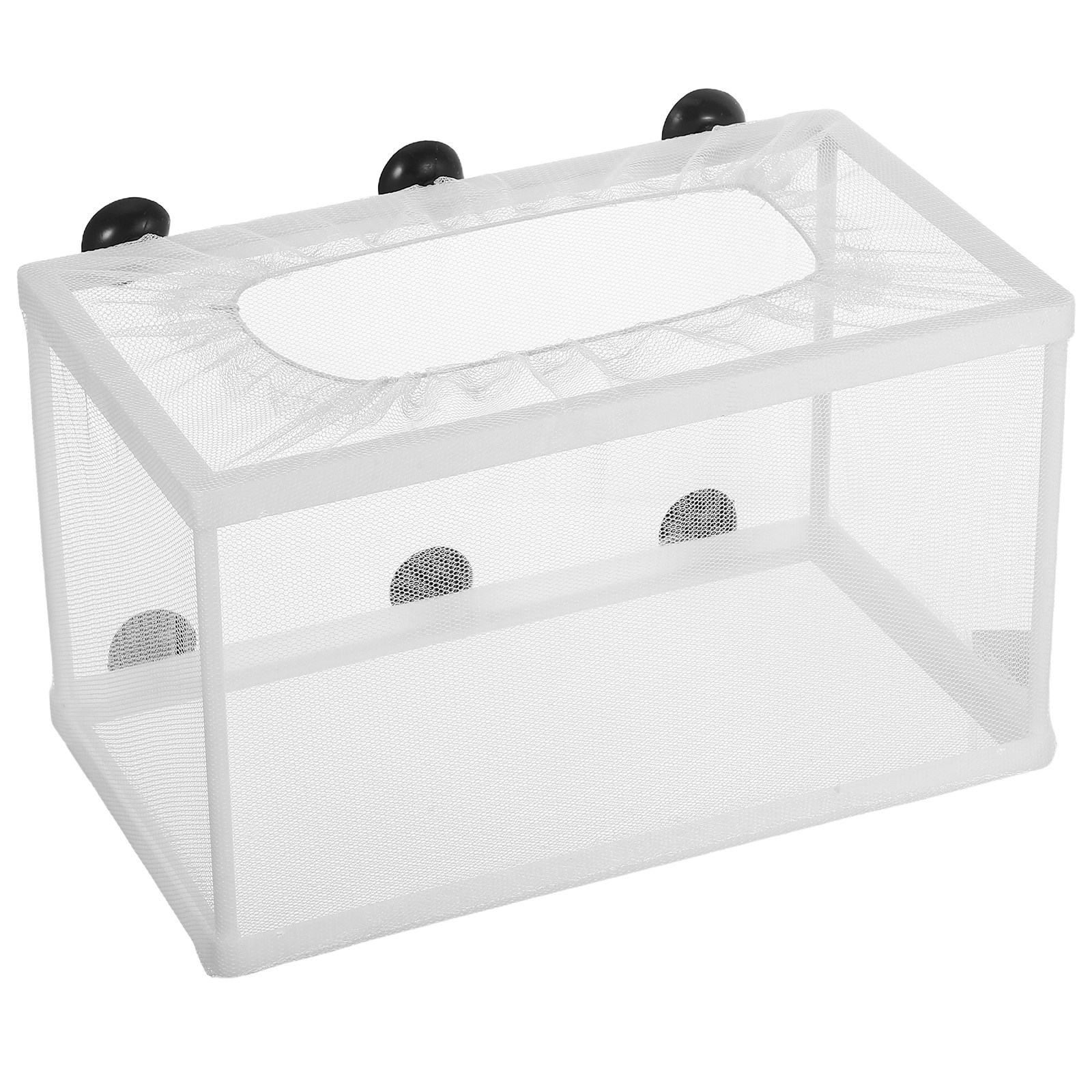 Fish Net Aquarium Hatchery Inc - Aquarium Fish Big Size 评论和价格