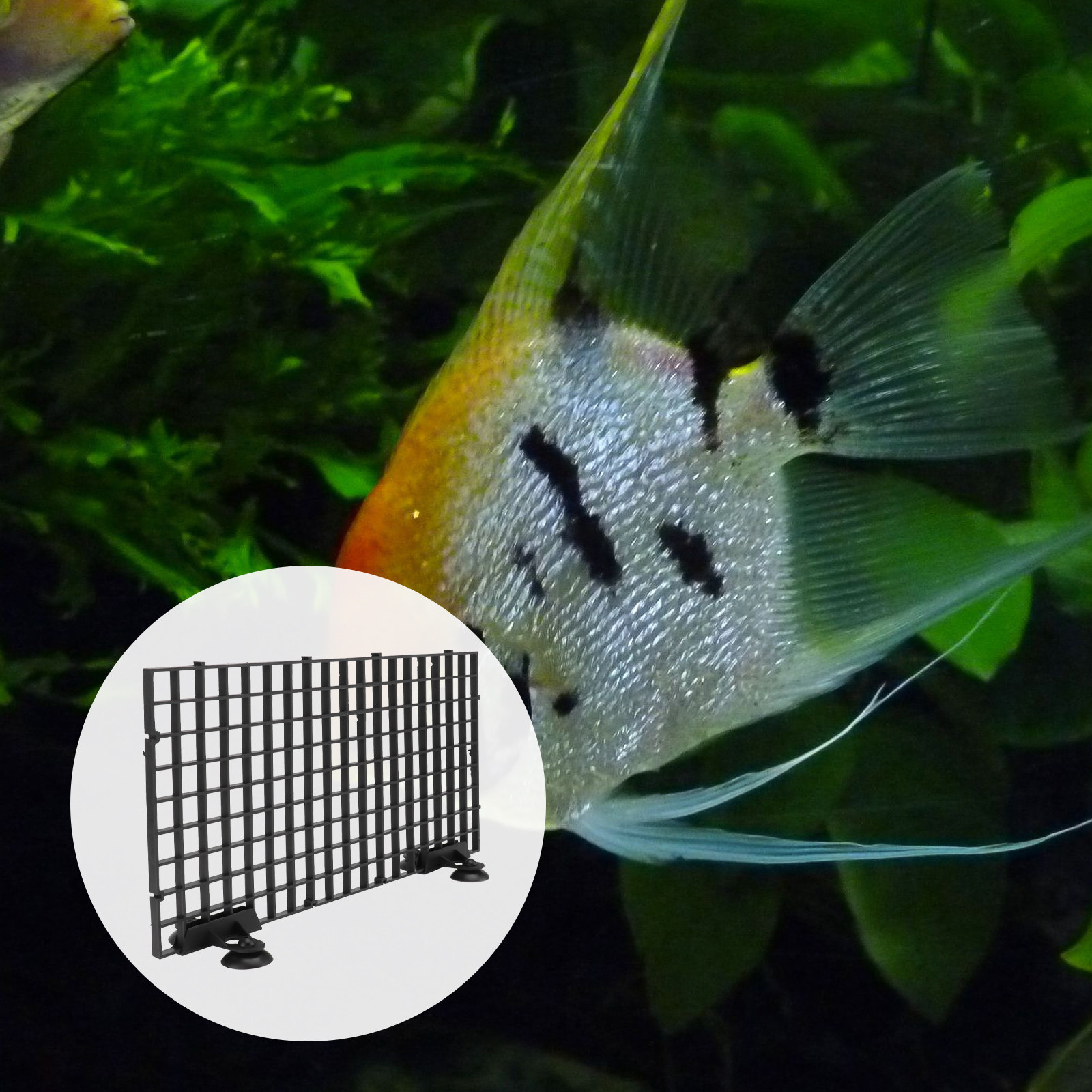 Fish Breeder Net Big Size Blac - Aquarium Fish Big Size 评论和价格