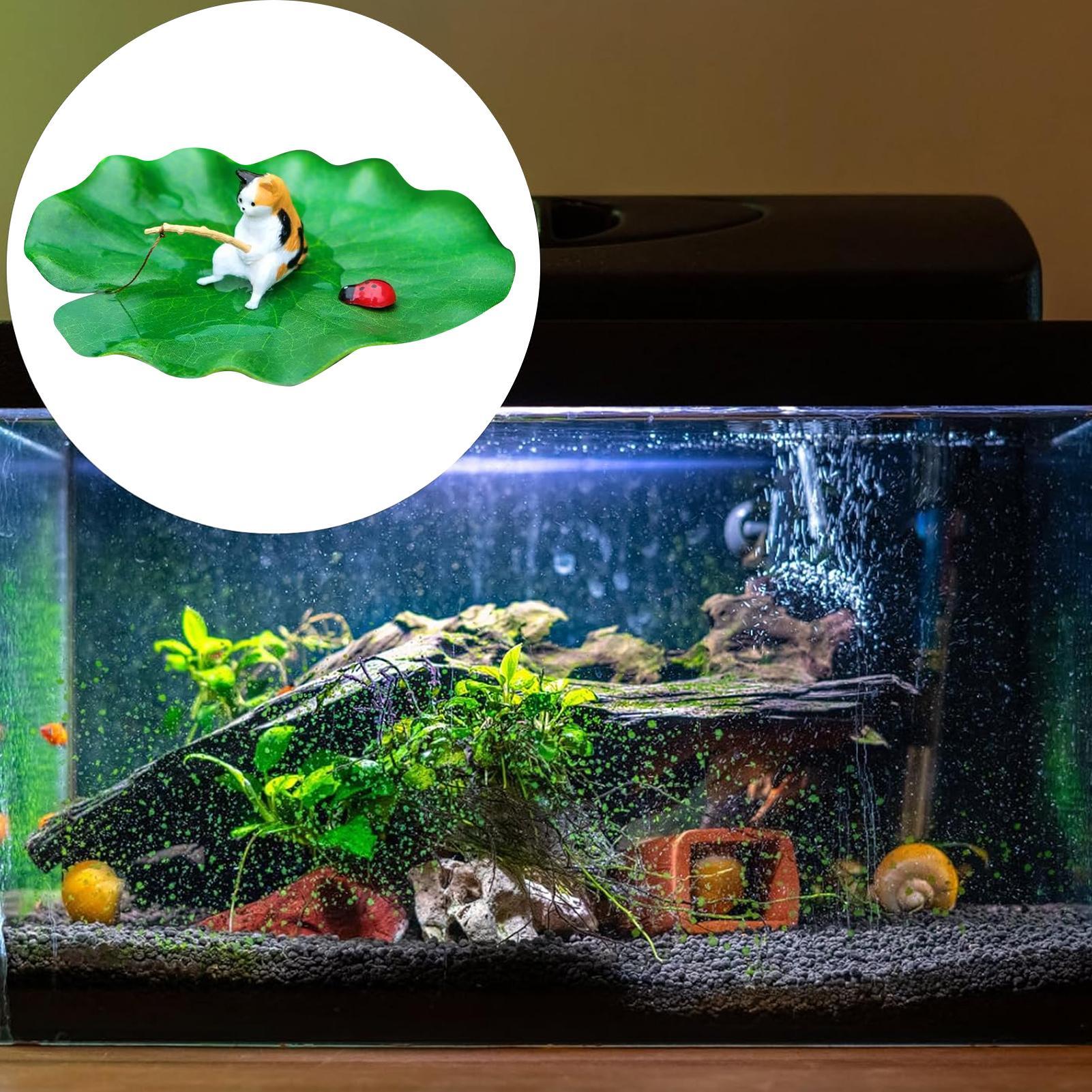 Cat Fishing on Floating Lily P - Aquarium Fish Names 评论和价格