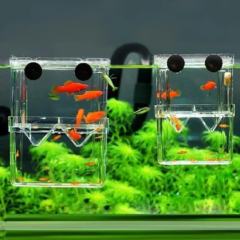 Transparent Fish Aquarium High - Aquarium Fish Medicine 评论和价格