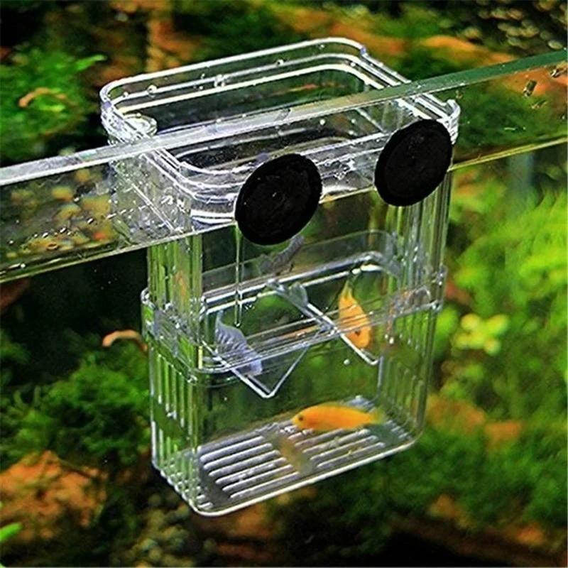 Transparent Fish Aquarium High - Aquarium Fish Medicine 评论和价格