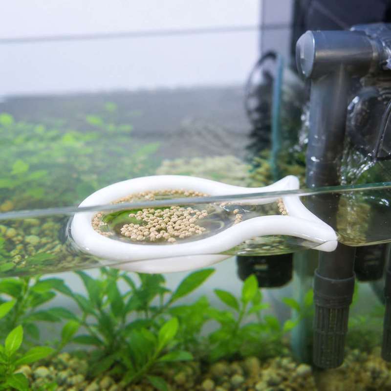 Fish Shaped Floating Feeding R - Aquarium Fish Medicine 评论和价格