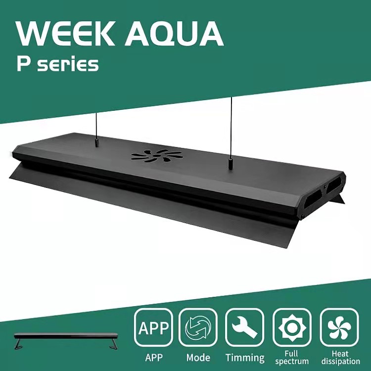APP Control Adjustable Height  - Aquarium Fish Big Size 评论和价格