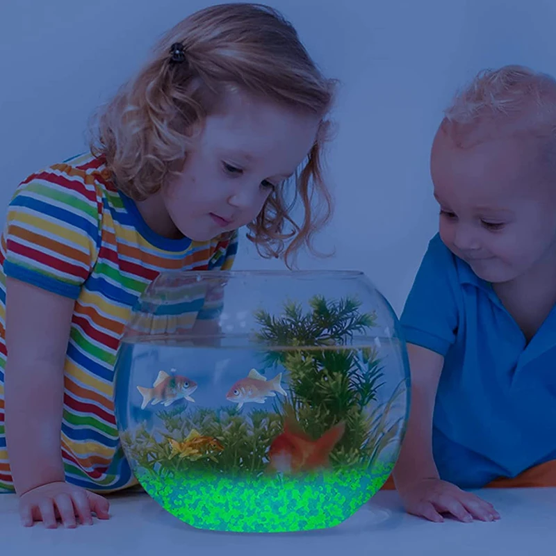 1000pcs 3-5mm Luminous Sand Gl - Aquarium Fish Names 评论和价格