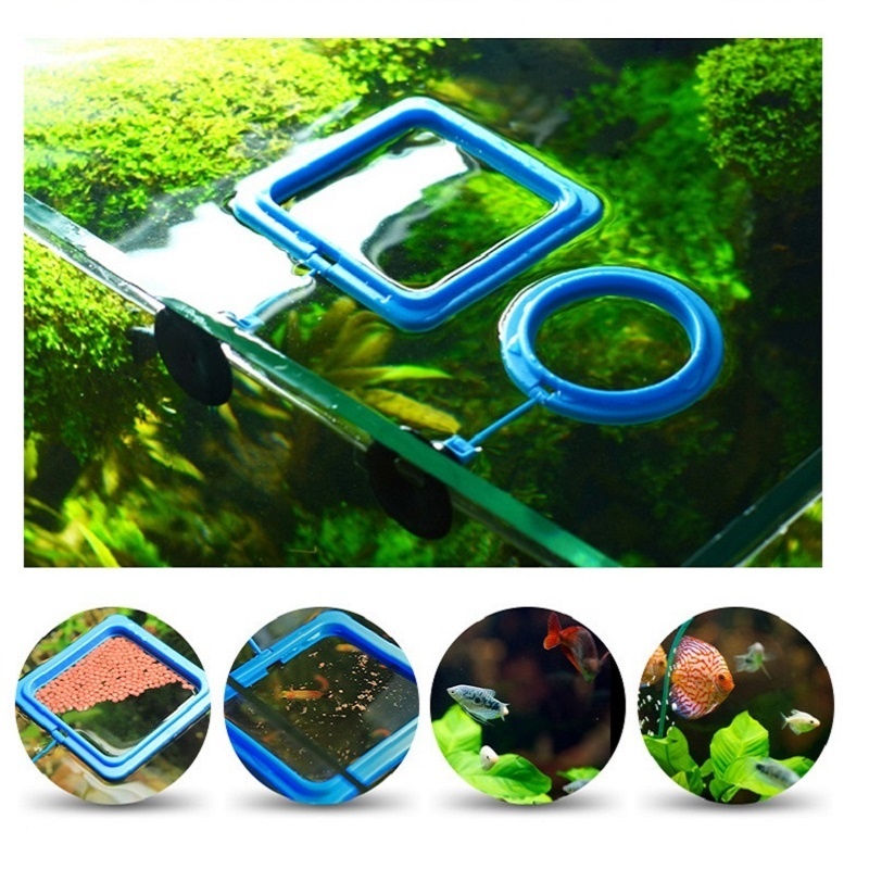 Fish Feeding Ring Feeder Fishi - Tetra Food Tropical Flakes 评论和价格