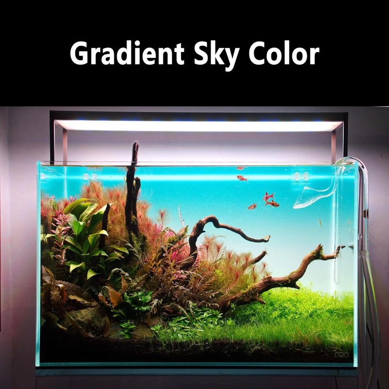 Aquarium Fish Tank Acrylic Gra - Aquarium Fish Rate 评论和价格