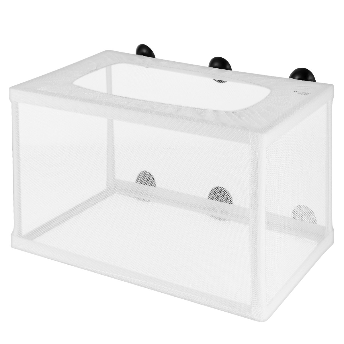 Fish Net Aquarium Hatchery Inc - Aquarium Fish Big Size 评论和价格