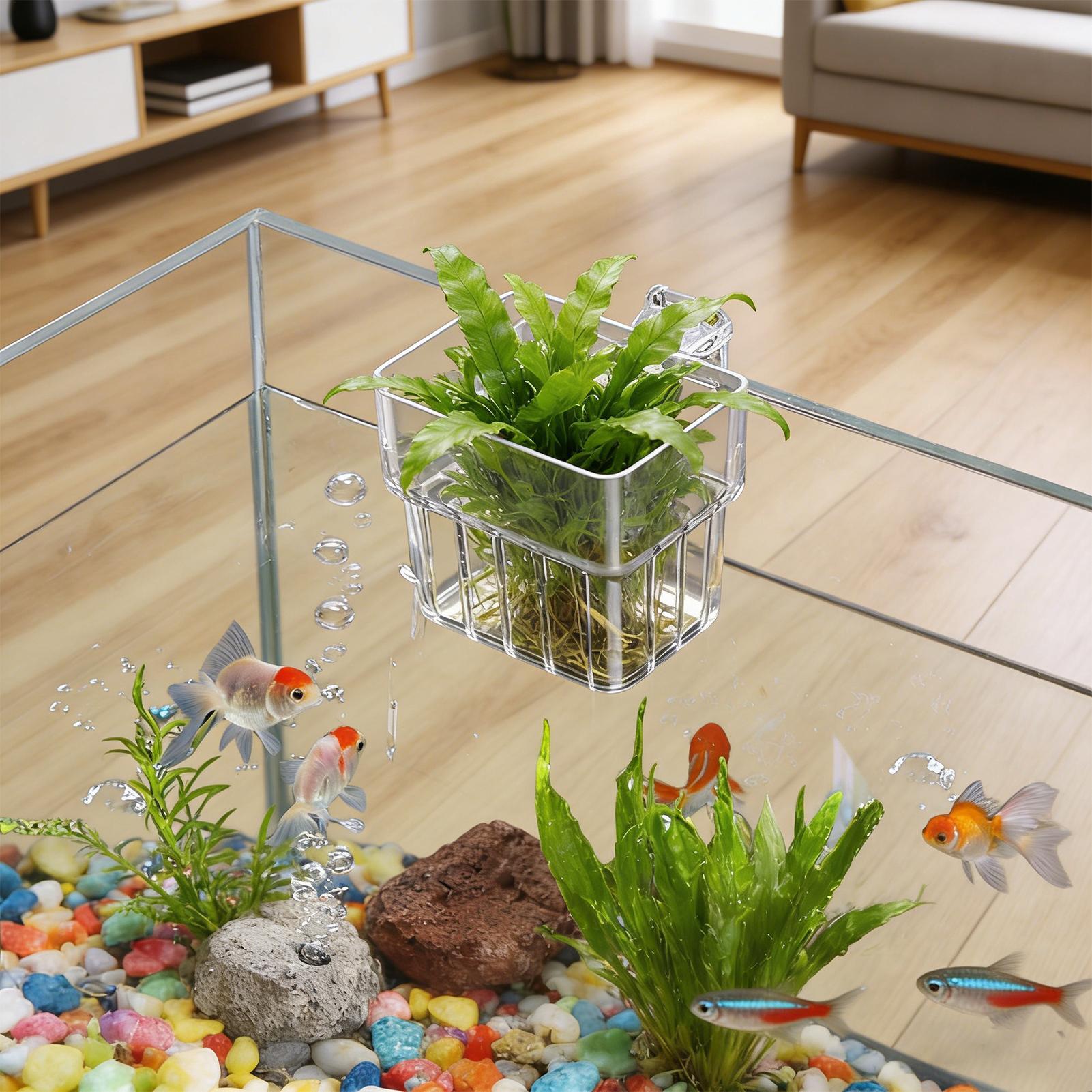 Transparent Hangable Aquarium  - Aquarium Fish Names 评论和价格