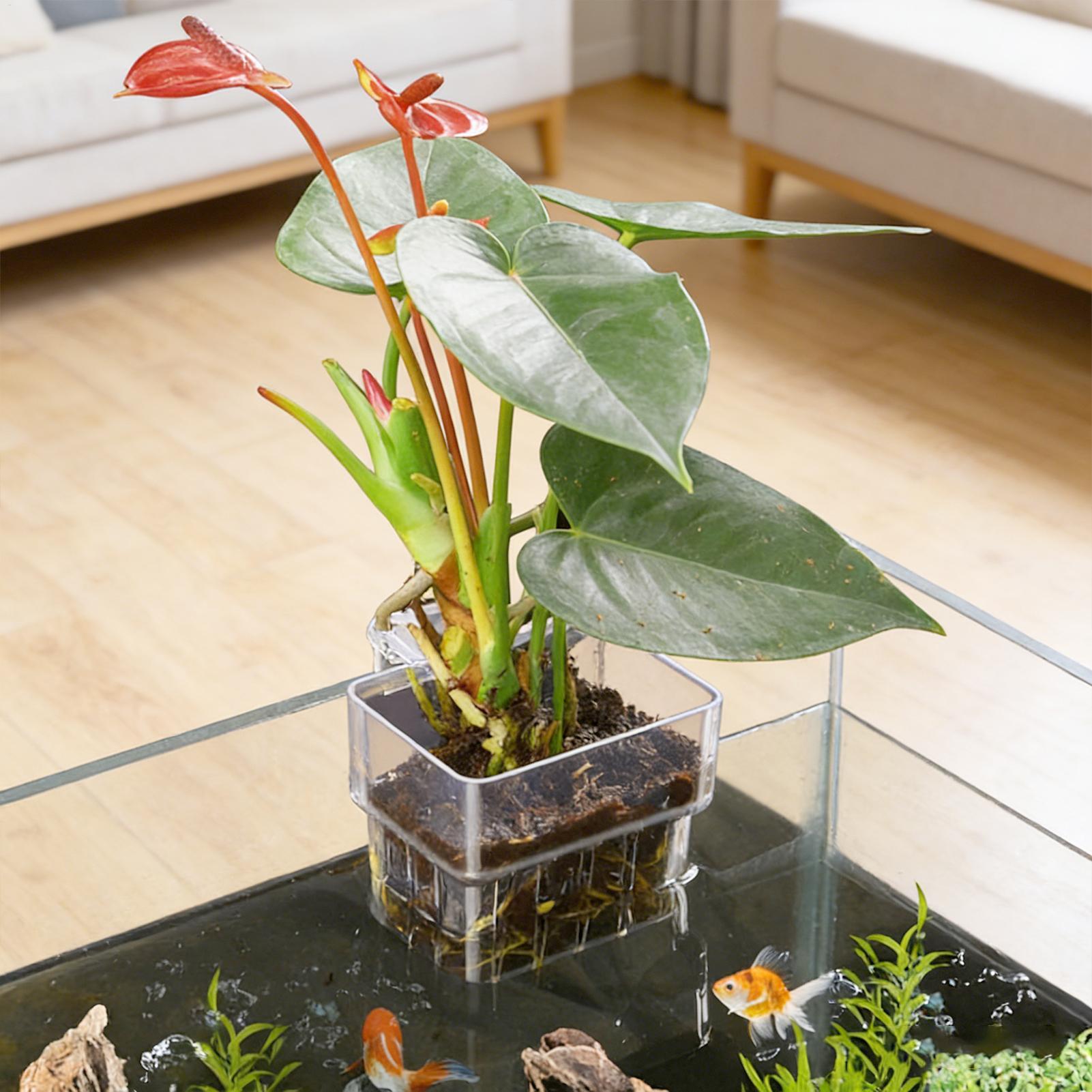 Transparent Hangable Aquarium  - Aquarium Fish Names 评论和价格