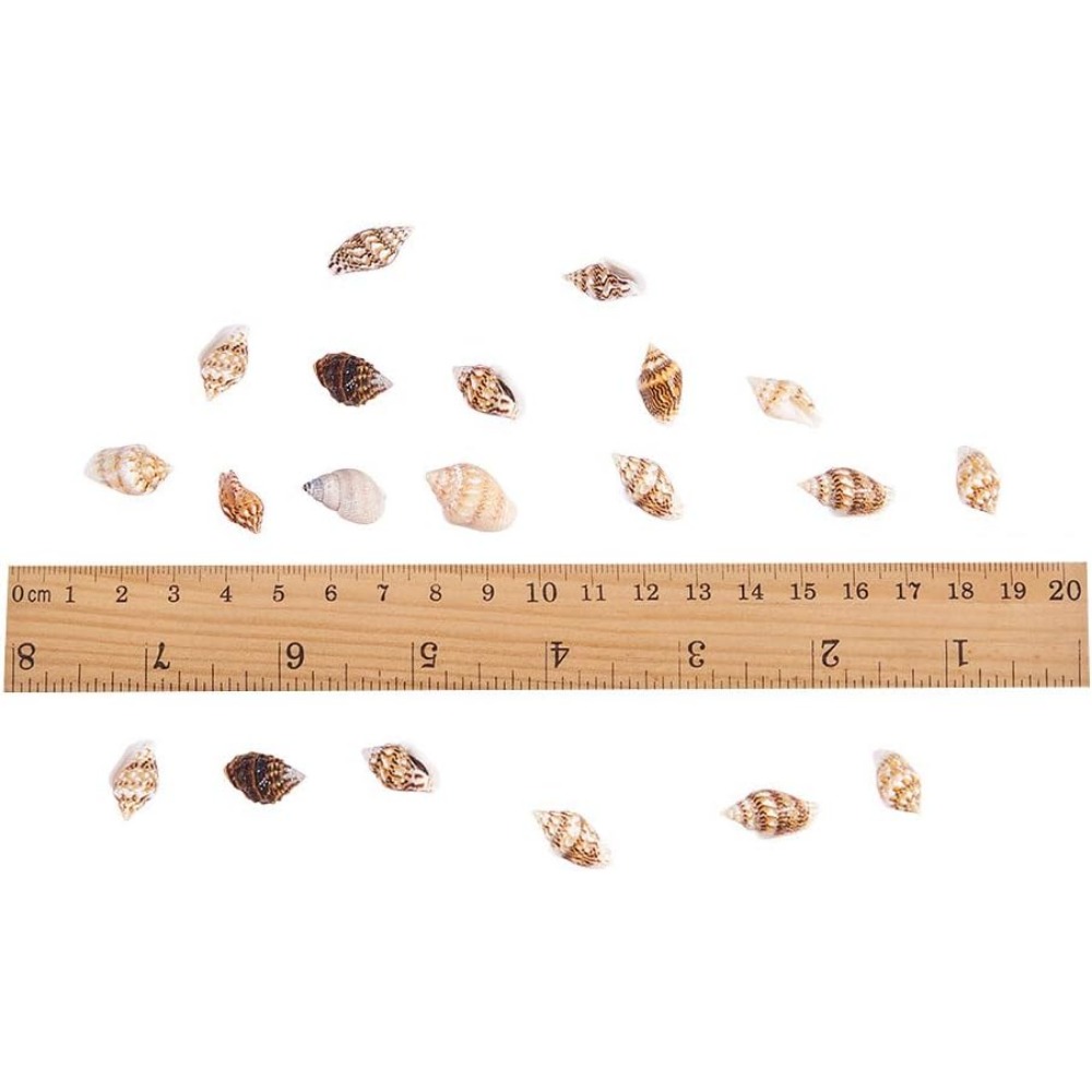 About 1500pcs Mixed Ocean Sea  - Aquarium Fish Names 评论和价格