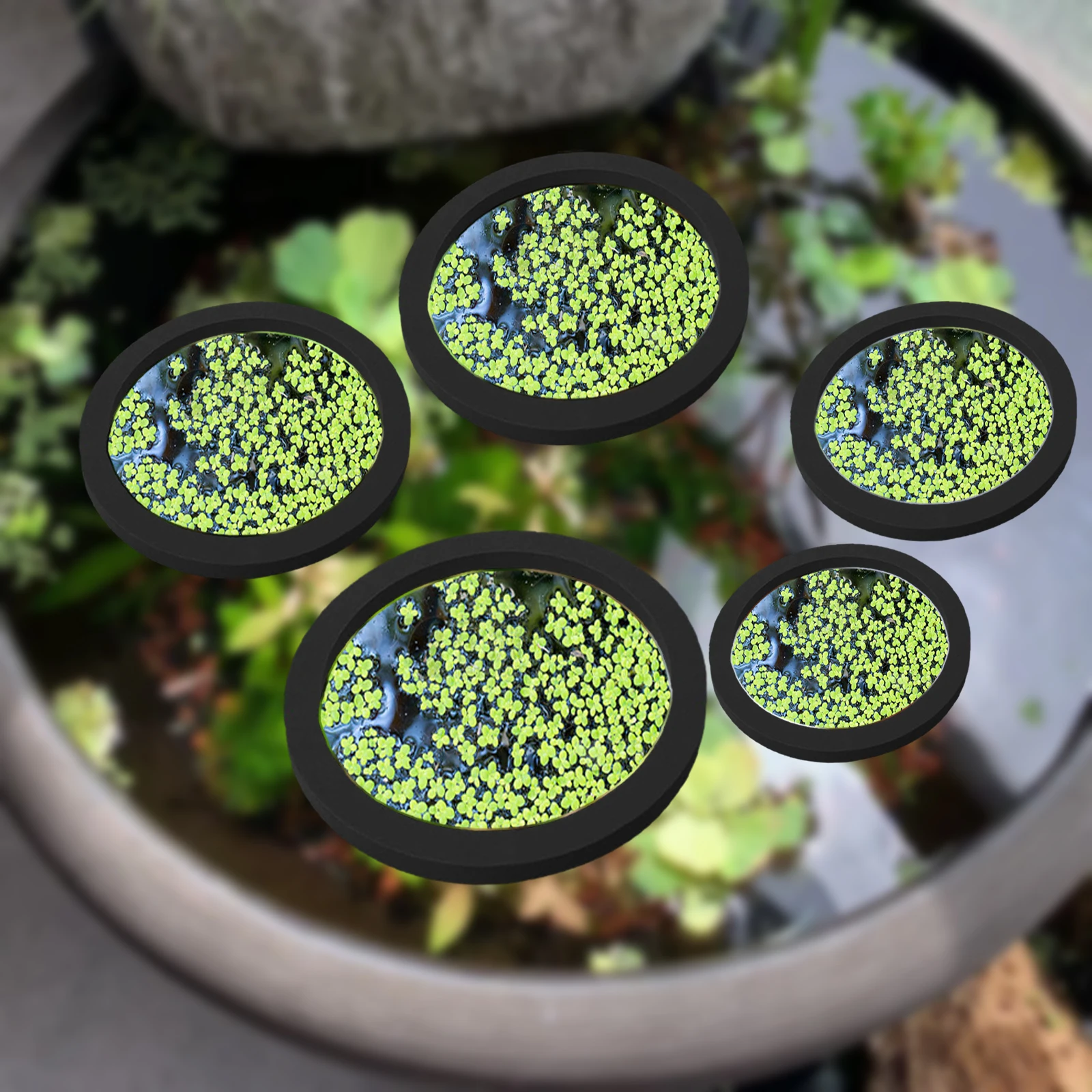 5Pcs EVA Fish Feeding Ring Aqu - Aquarium Fish Tank 评论和价格