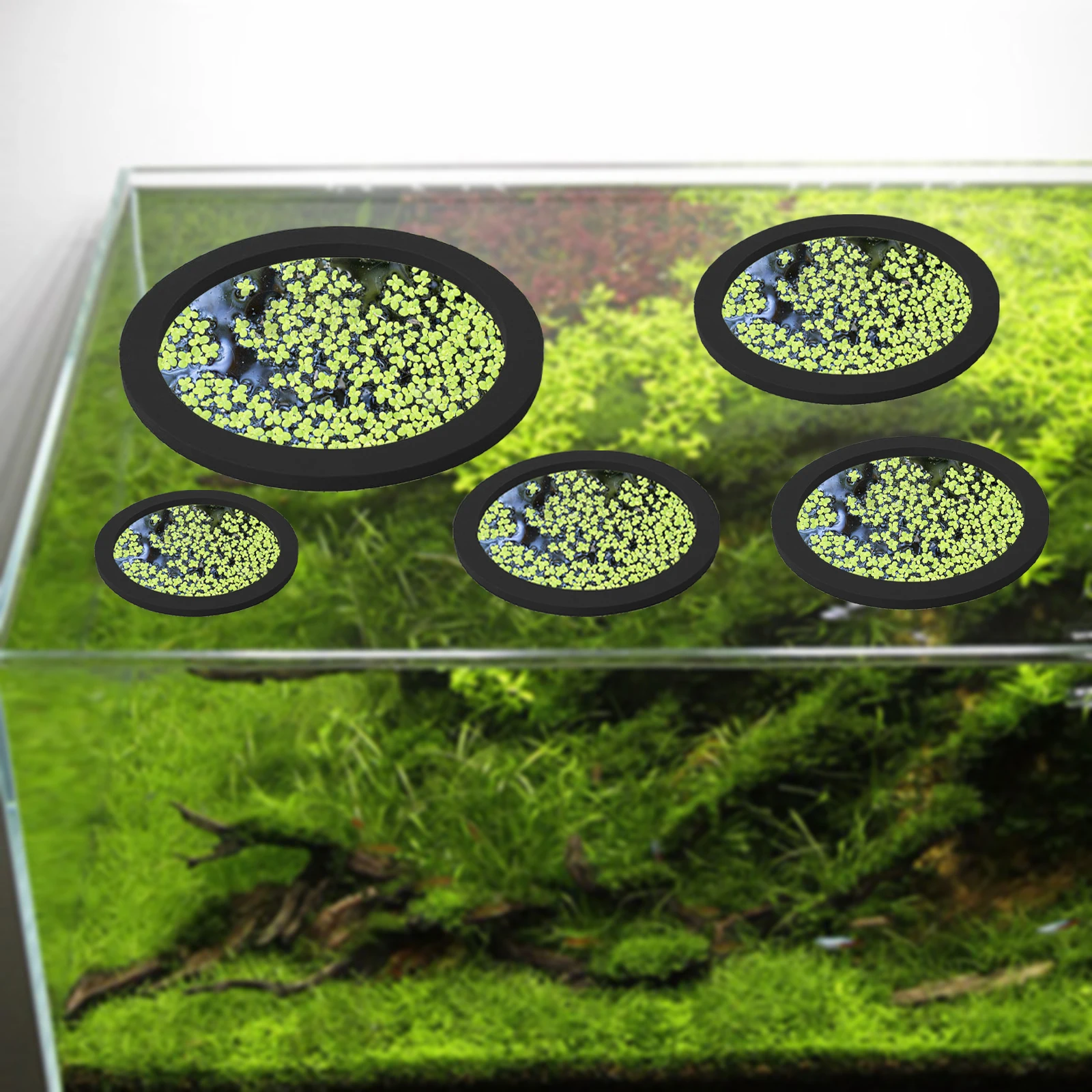 5Pcs EVA Fish Feeding Ring Aqu - Aquarium Fish Tank 评论和价格