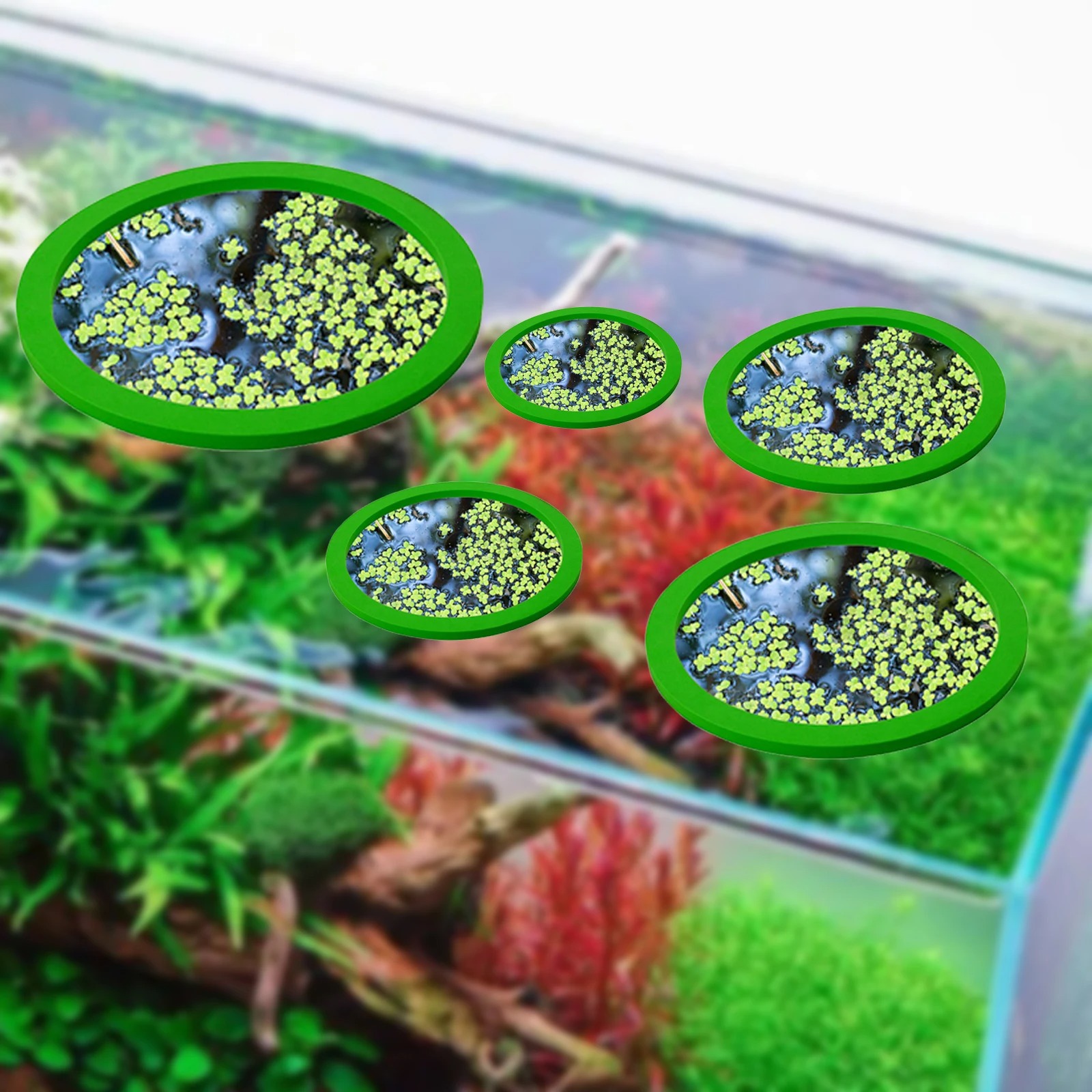 5Pcs EVA Fish Feeding Ring Aqu - Aquarium Fish Tank 评论和价格