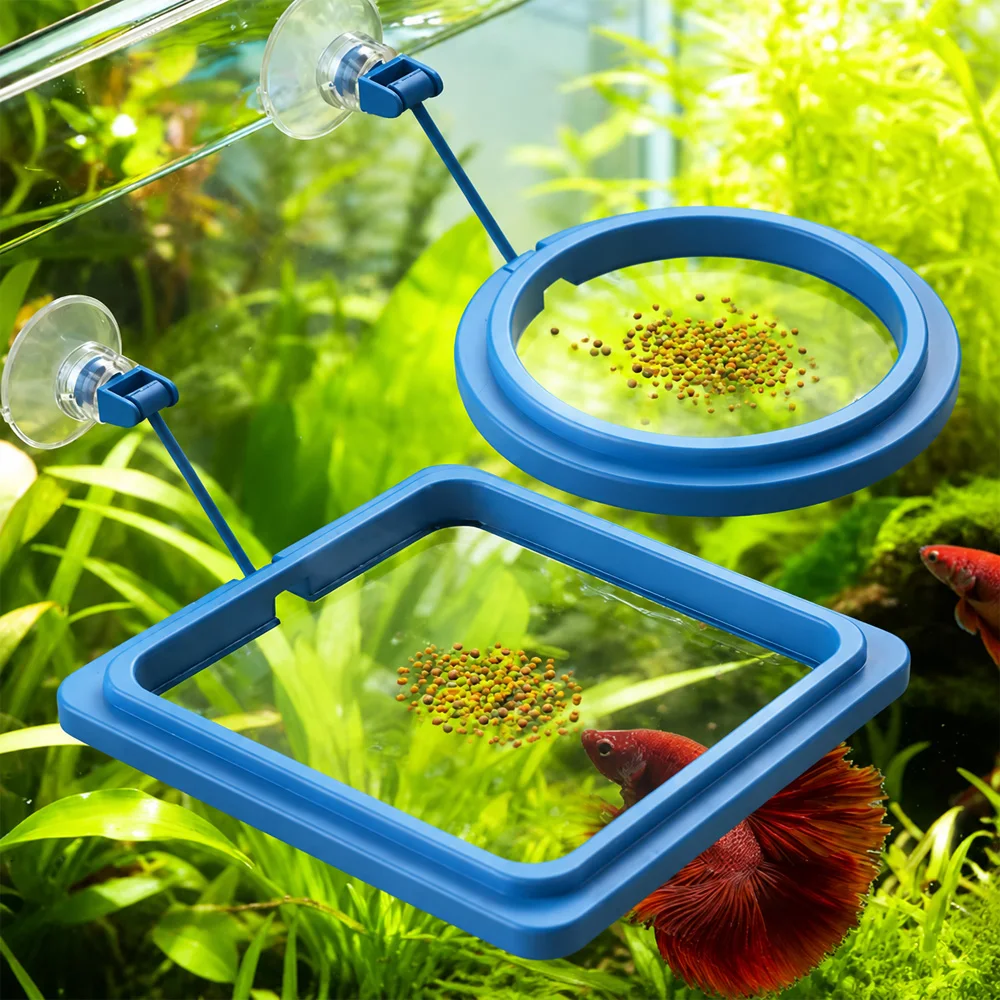 Betta Fish Food Floating Mini  - Aquarium Fish Medicine 评论和价格