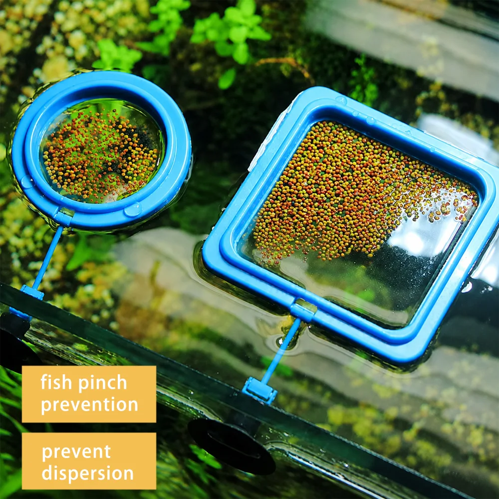 Betta Fish Food Floating Mini  - Aquarium Fish Medicine 评论和价格