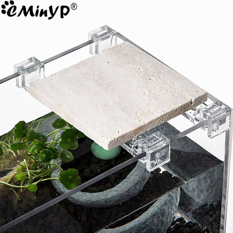 4Pcs Fish Tank Acrylic Clips f - Aquarium Fish Elevator 评论和价格