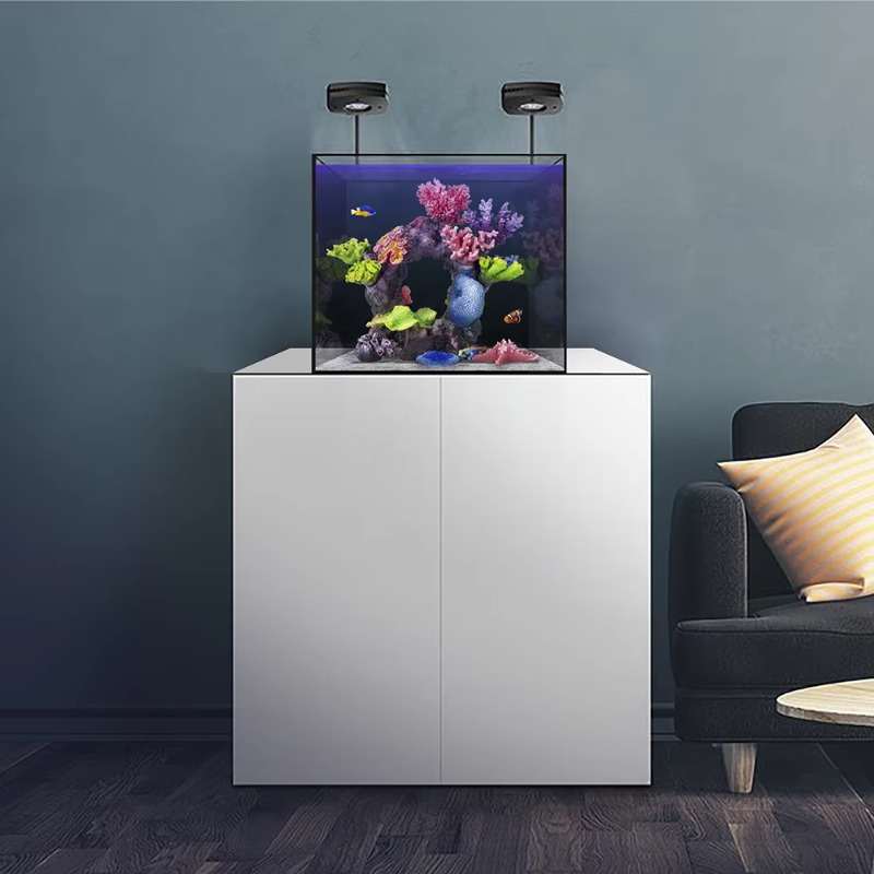 18.11 Inch Big Size Decoration - Aquarium Fish Big Size 评论和价格