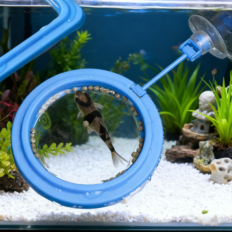 Aquarium Fish Tank Feeding Rin - Aquarium Fish Medicine 评论和价格