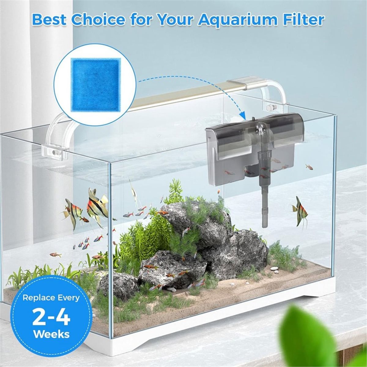 《TOP RATED》10 Pcs Aquarium Fil - Aquarium Fish Rate 评论和价格