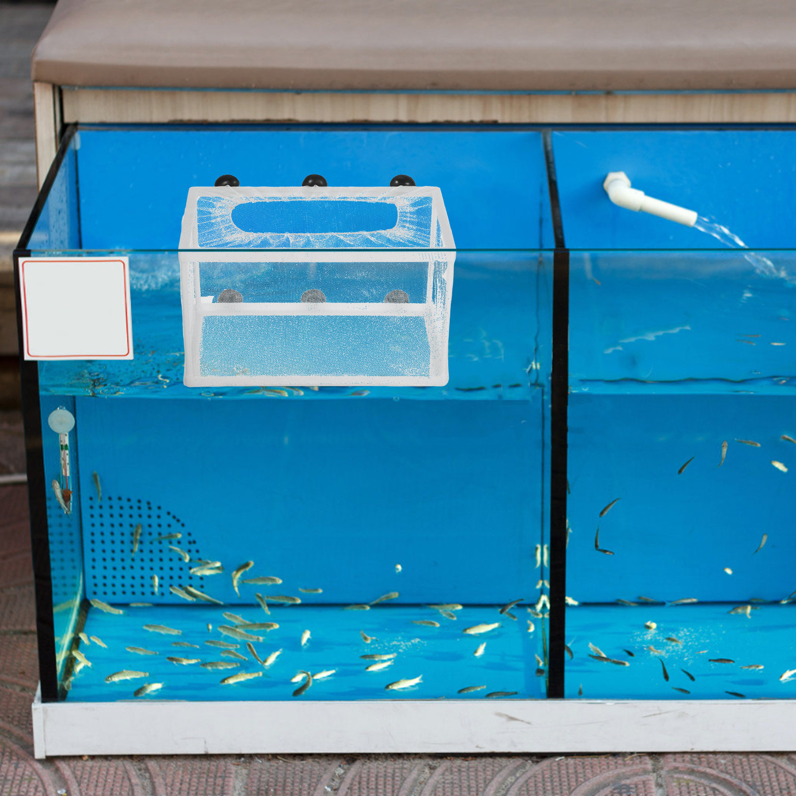 Fish Net Big Size Fry Hatchery - Aquarium Fish Big Size 评论和价格