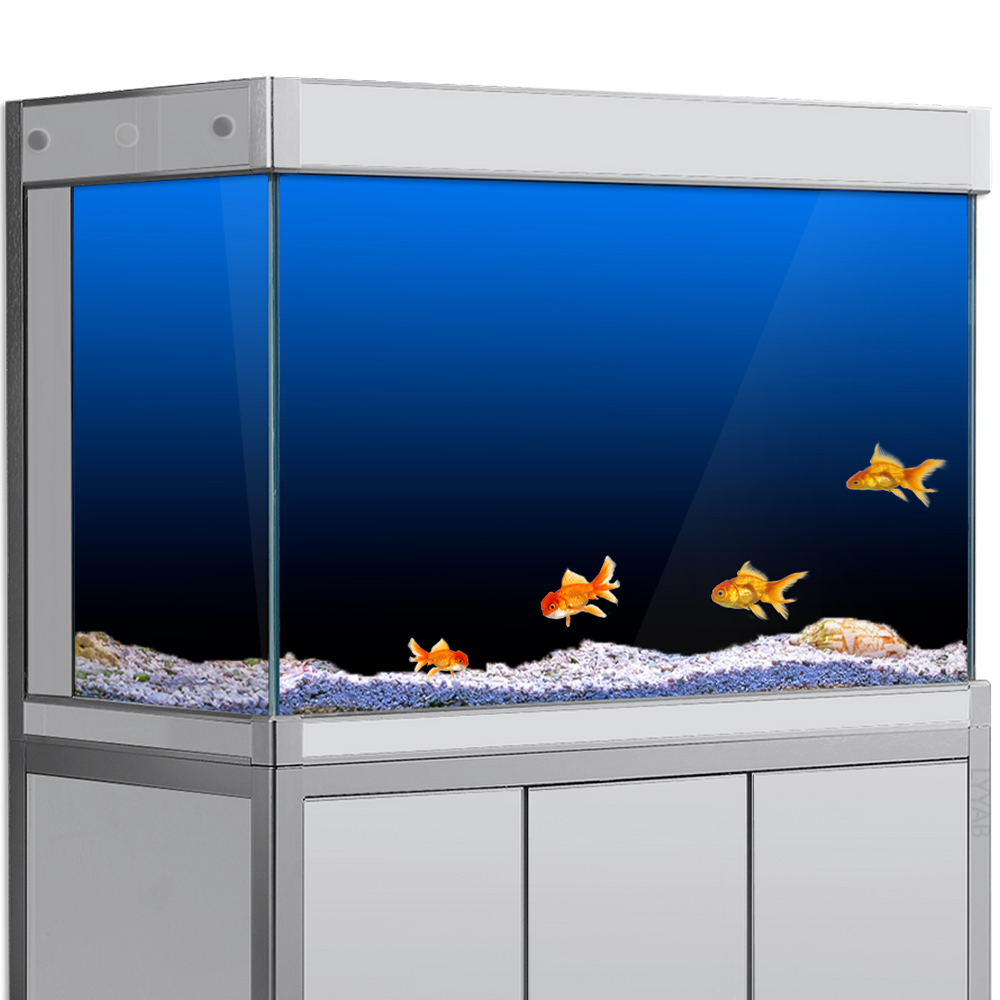 Fish Tank Background Sticker B - Aquarium Fish Green 评论和价格