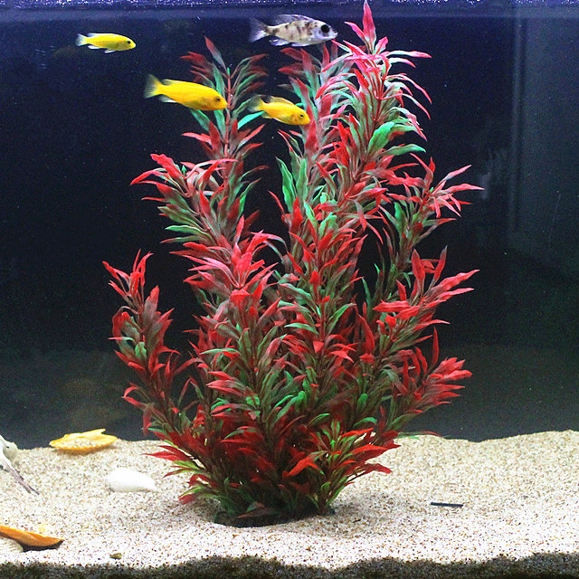 50CM Artificial Fish Tank Rare - Aquarium Fish Green 评论和价格