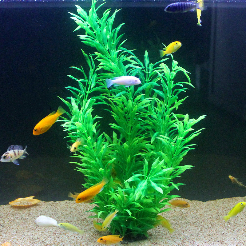 50CM Artificial Fish Tank Rare - Aquarium Fish Green 评论和价格