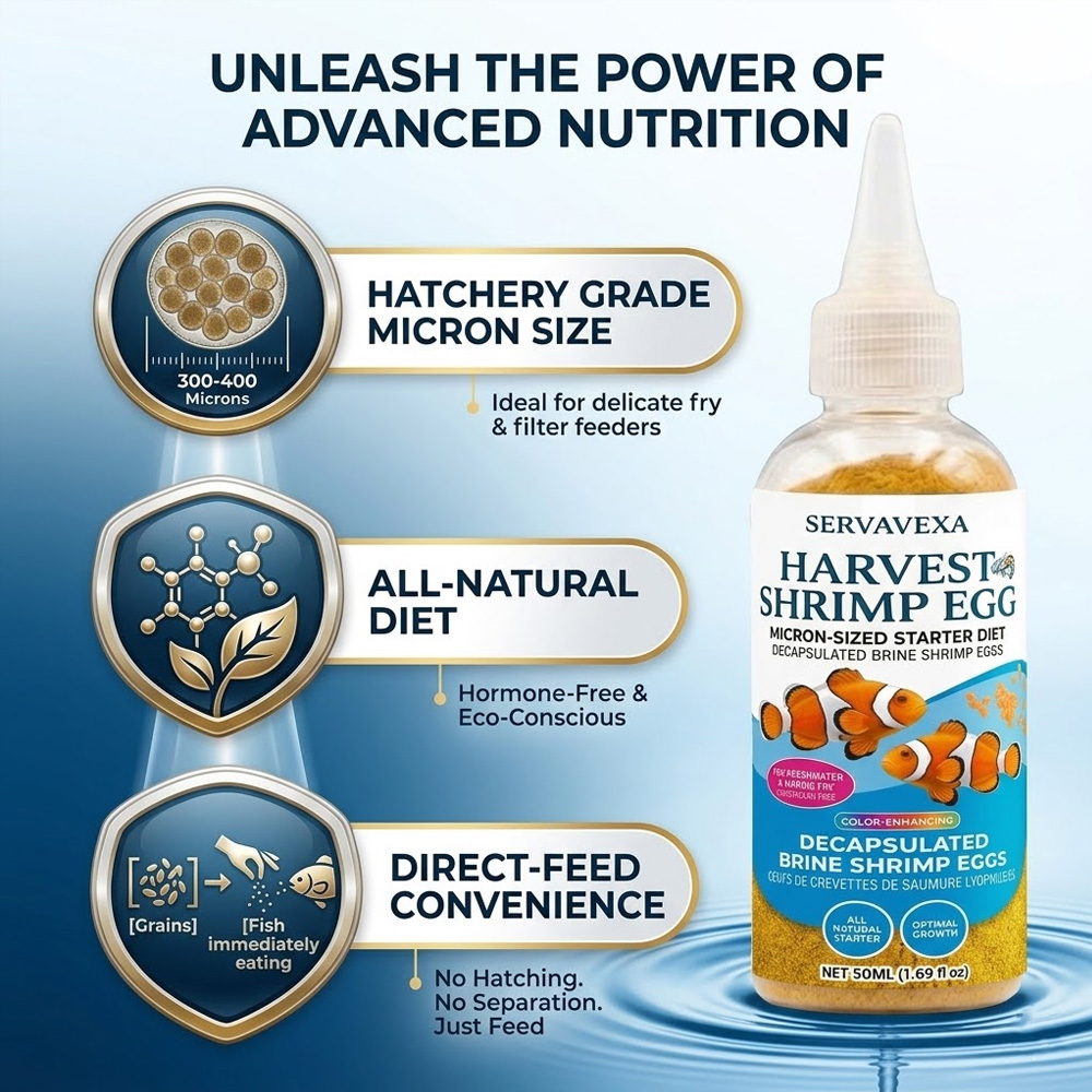 High Protein Fish Food for Bet - Aquarium Fish Medicine 评论和价格