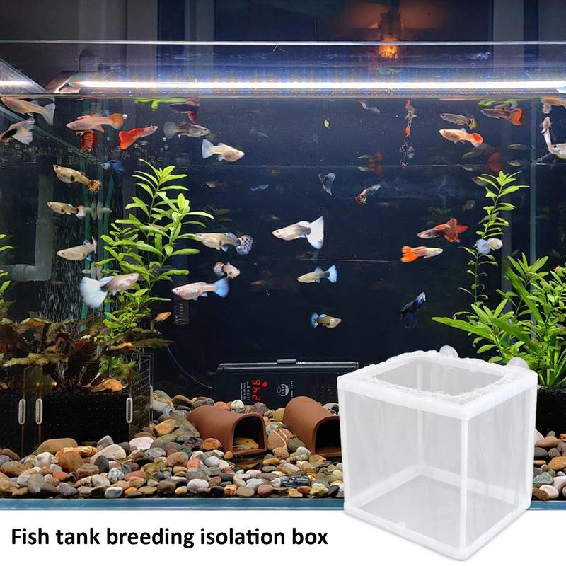 Fish Breeder Box with Suction, - Aquarium Fish Medicine 评论和价格