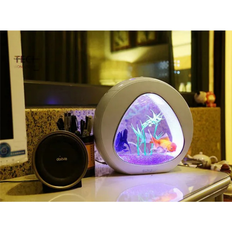 SUNSUN acrylic aquarium ecolog - Aquarium Fish Big Size 评论和价格