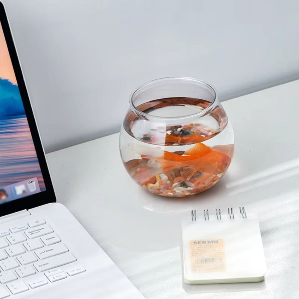 New Transparent Fish Tank Roun - Aquarium Fish Names 评论和价格