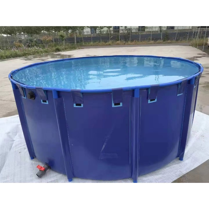 Wholesale Custom Outdoor Large - Aquarium Fish Big Size 评论和价格