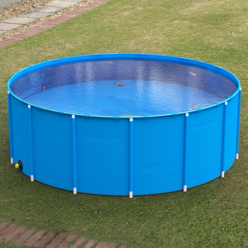 Wholesale Custom Outdoor Large - Aquarium Fish Big Size 评论和价格