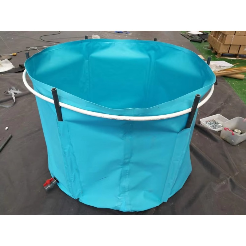 Wholesale Custom Outdoor Large - Aquarium Fish Big Size 评论和价格
