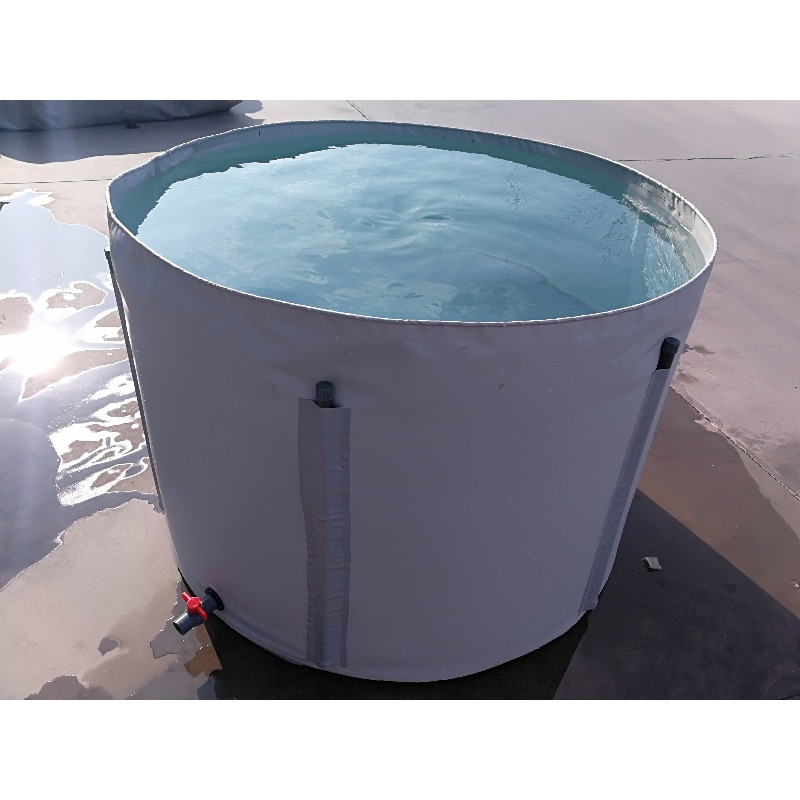 Wholesale Custom Outdoor Large - Aquarium Fish Big Size 评论和价格