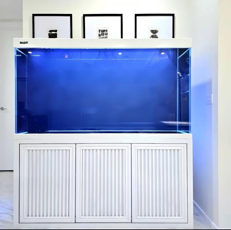 Big Size Aquarium Fish Tank La - Aquarium Fish Big Size 评论和价格