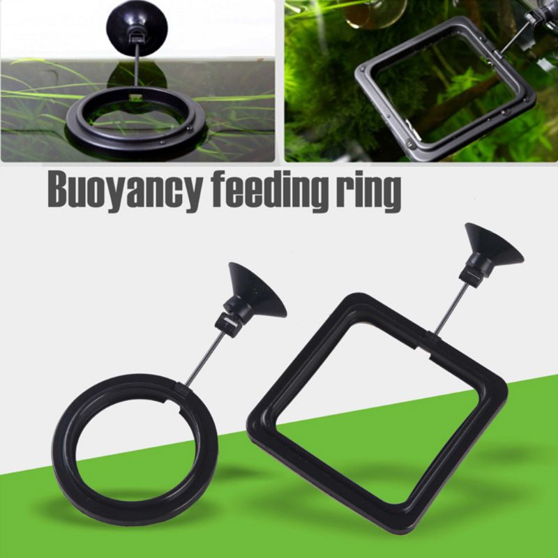 Aquarium Fish Feeding Ring Fis - Aquarium Fish Medicine 评论和价格